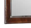 Glory Furniture Triton G9000-M Mirror , Cappuccino